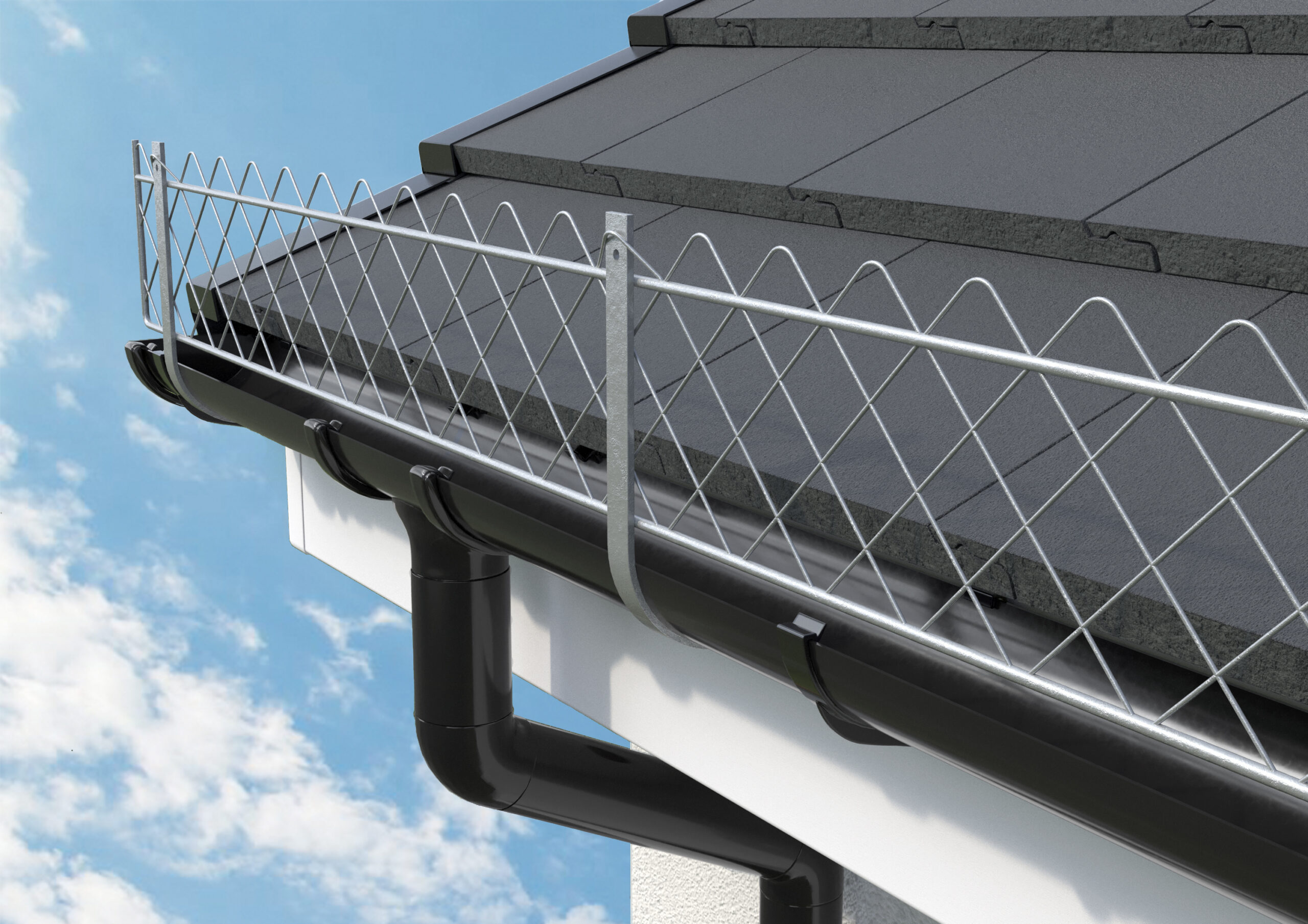 Gutter Protection